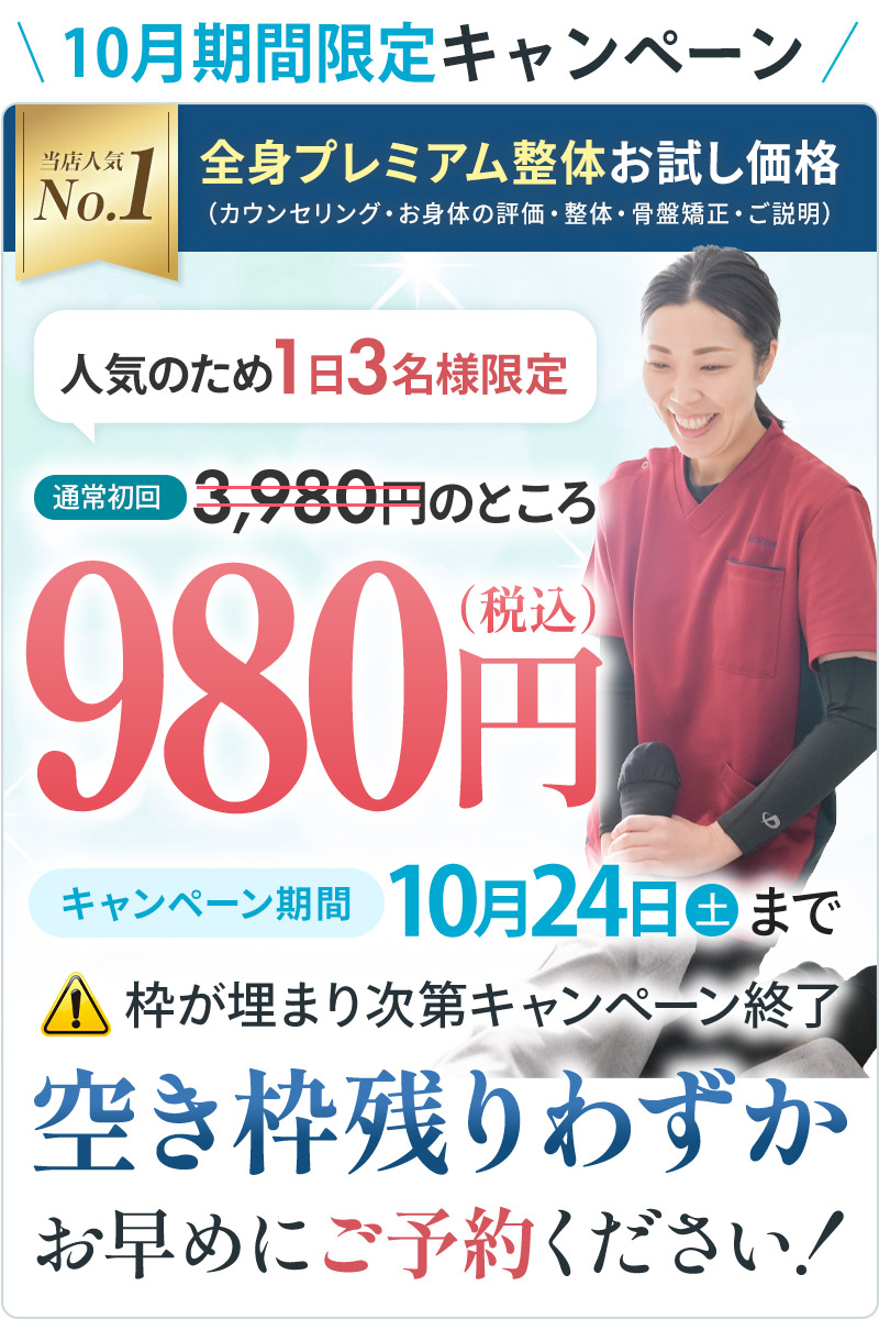 【期間限定】全身プレミアム整体:初回料金